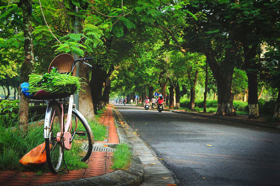 Embrace the vibrant spirit of Hue Travel adventures